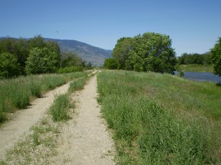 Heading back, looking north, Kettle Valley Railway Oliver to Osoyoos Lake, 2011-06.